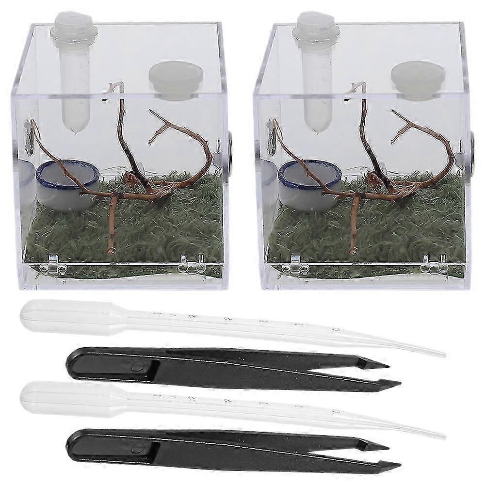 2 Sets Acrylic Jumping Spider Enclosure Box with Tools for Insect Feeding