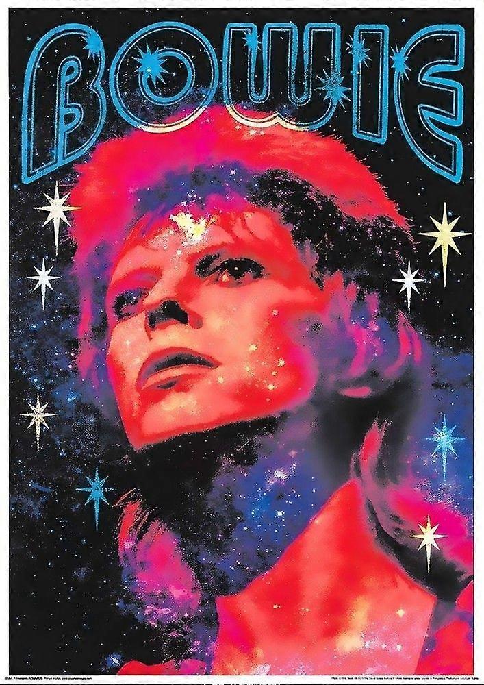 Puzzle David Bowie P2579