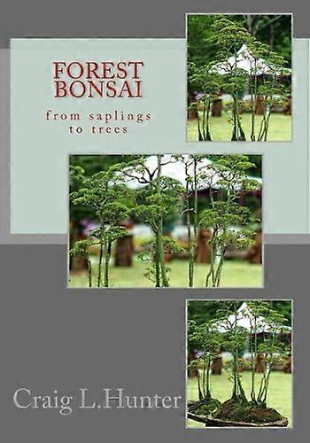 Forest Bonsai: From Saplings to Trees