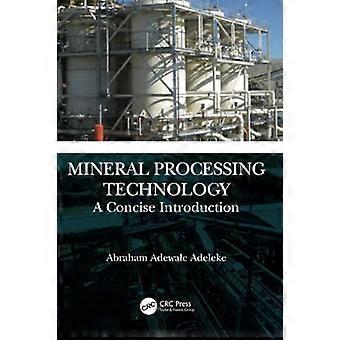 Technologie de traitement des minéraux : une introduction concise