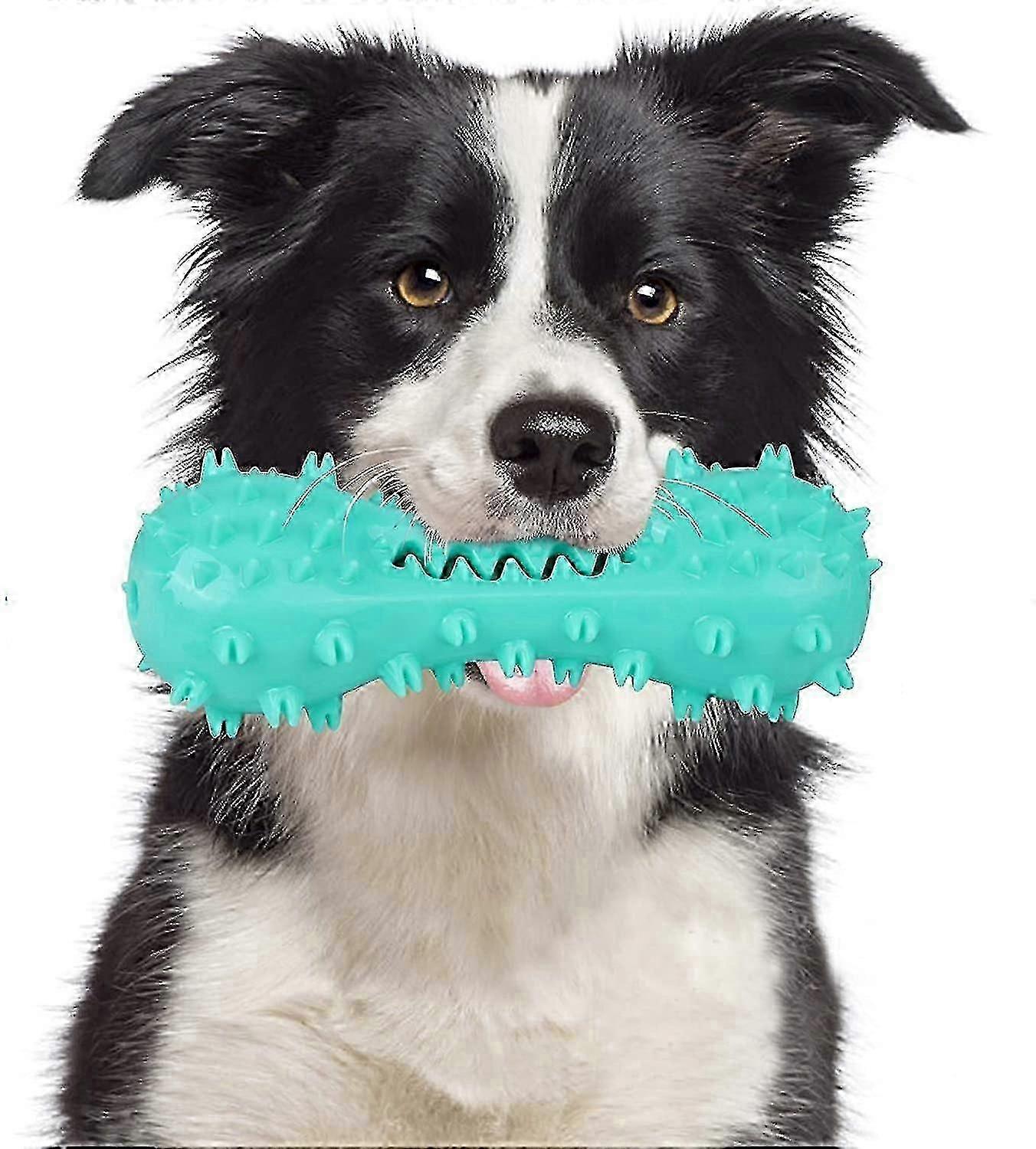 Dog Teeth Chew Toy