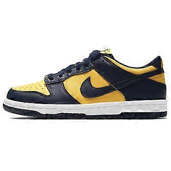 Nike Dunk Low 'Michigan' 2021 DD1391-700