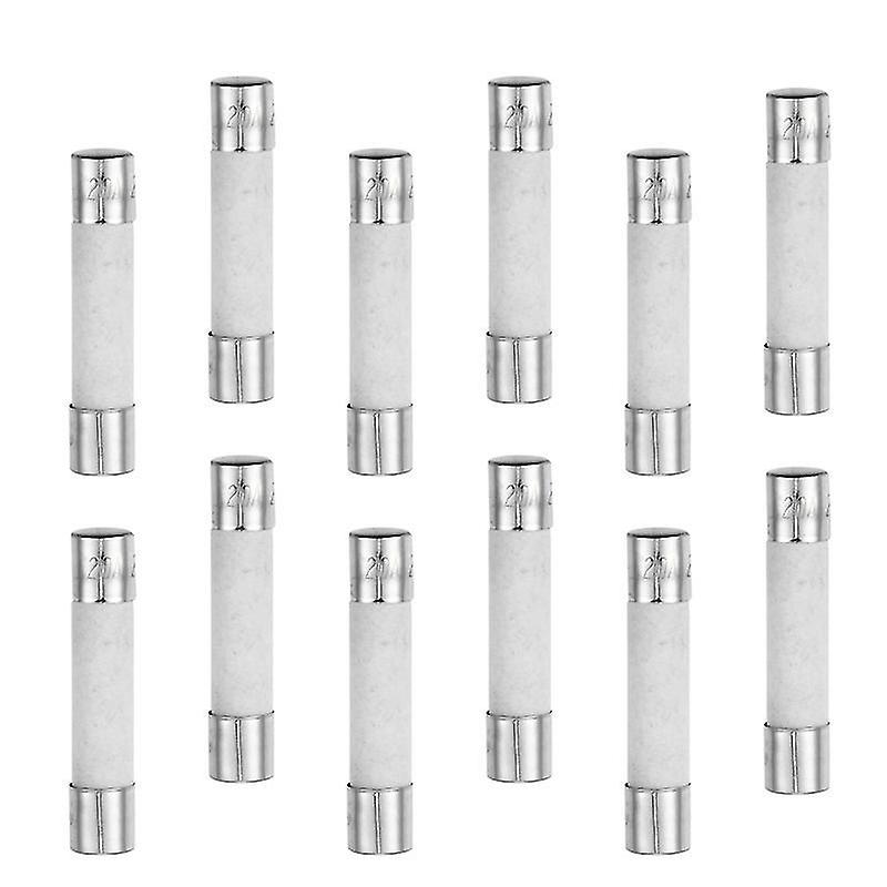3X0.5cm Silver Wire Caps & Nuts 20 Pcs Ceramic Fuse Kit Ceramic Fuses Assorted Replacement Appliance