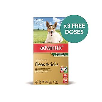 Advantix grün 6 Pack kleine Hunde 0-4 kg