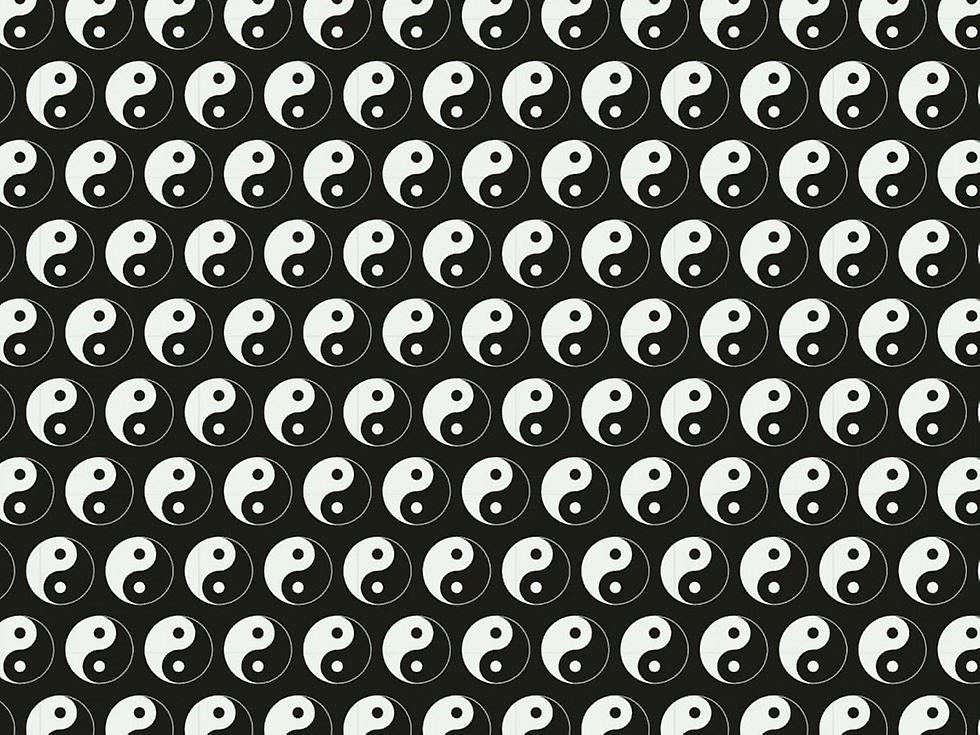 Minerva 100% Cotton Poplin Fabric Black - per metre