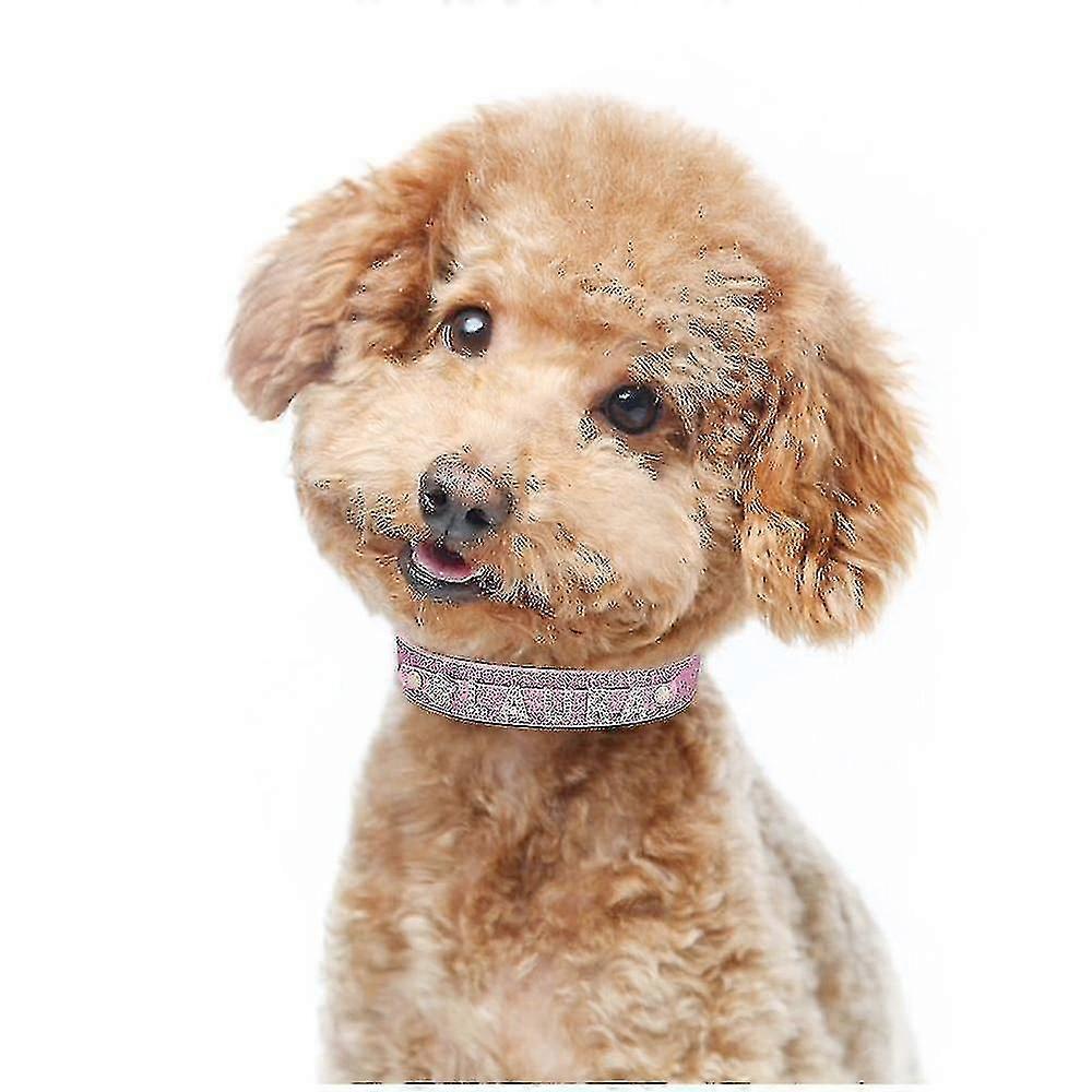 Dog Collarleather Rhinestone Personalized -