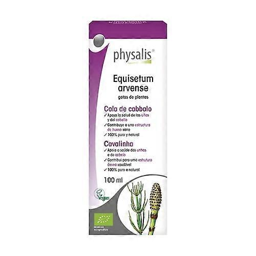 Horsetail Extract (Equisetum) Bio 100 ml