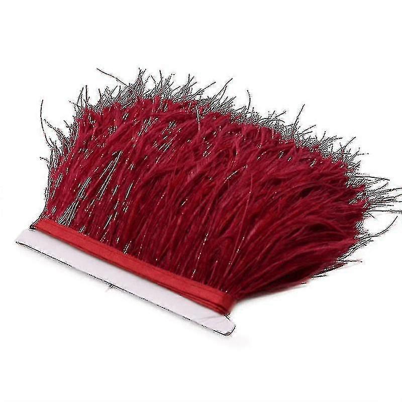 2m Struisvogelveren Trim Pluimen Lint Selvage