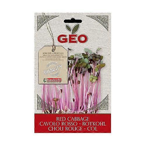 Red Cabbage Seeds to Germinate 12 g