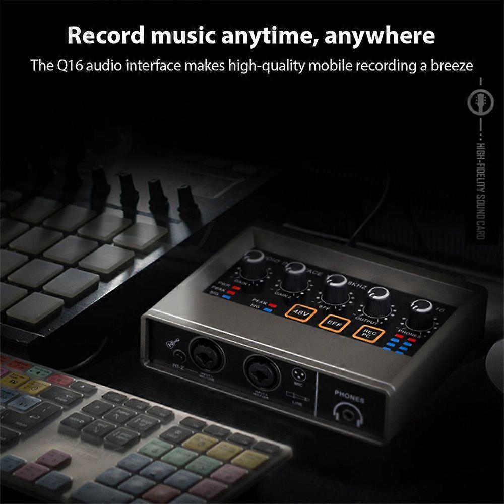 Audio Interface Professional Recording XLR Audio Interface Reverb 48V Phantom Power Sound Card 16bit/48kHz Resolution Plug and Play for Music Recordin