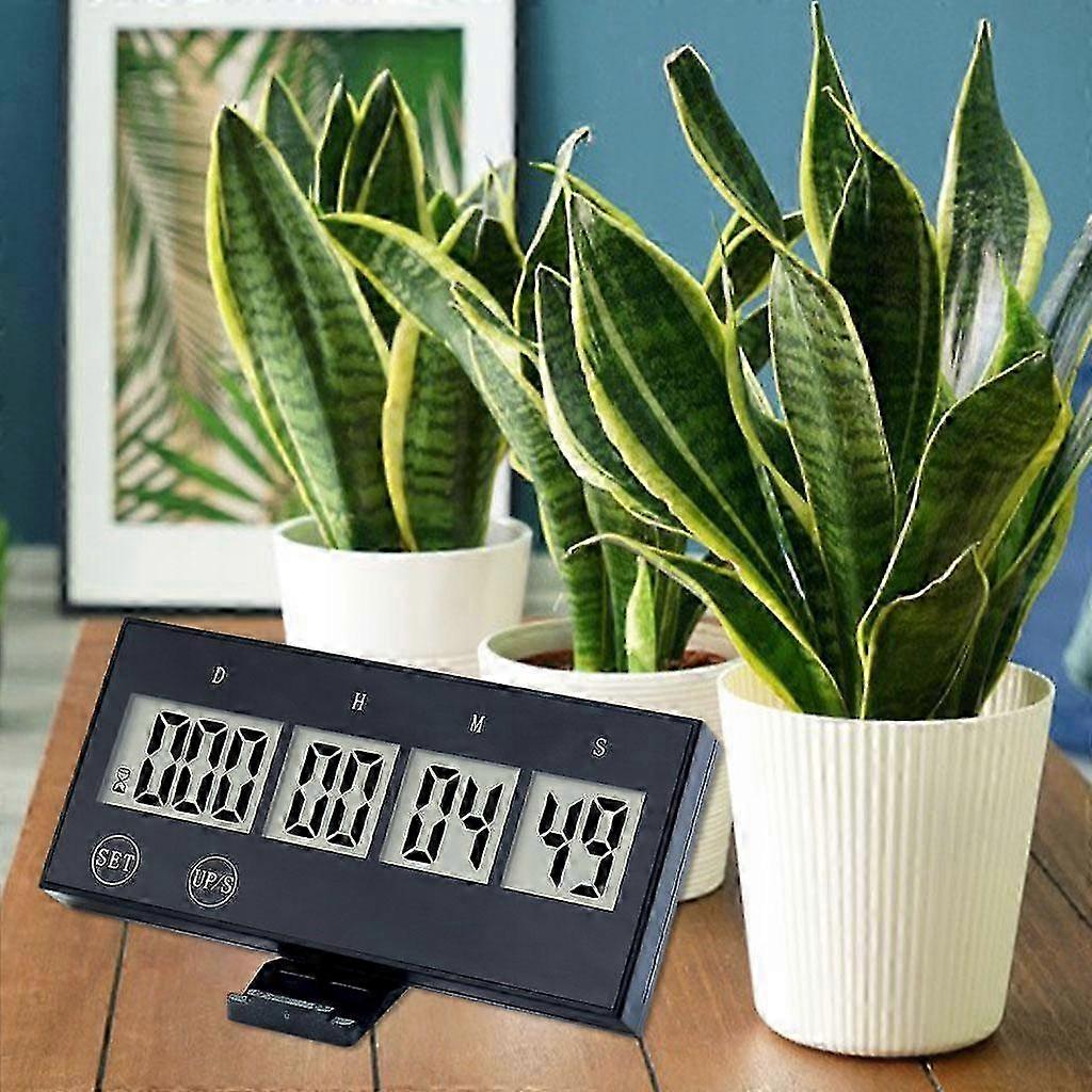 Electric Kitchen Timer Clock Countdown Cooking Time Beauty,