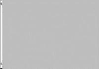 Neoplex Solid Gray Flag Uu 0964