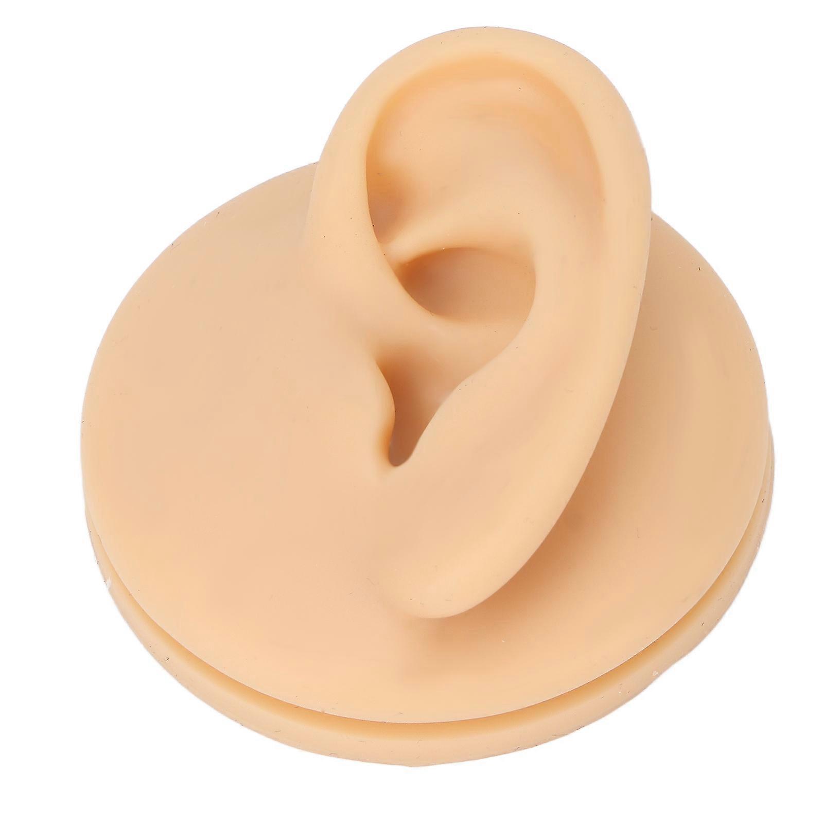 Soft Silicone Left Ear Model Ear Acupuncture Practice Model Simulation Ear Display Model