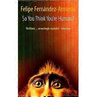 Então Você Acha Que É Humano? Uma Breve História da Humanidade - Felipe Fernández-Armesto - Brochura - Livro em Inglês - História