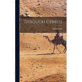 Through Cyprus - Agnes Smith 1843-1926 Lewis - Hardcover - English Book - History