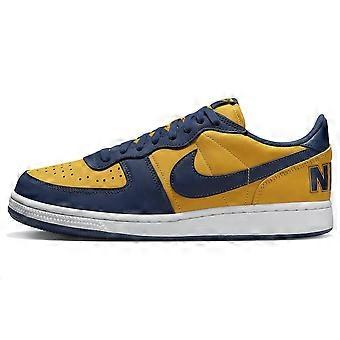 Nike Terminator Low Michigan FJ4206-700