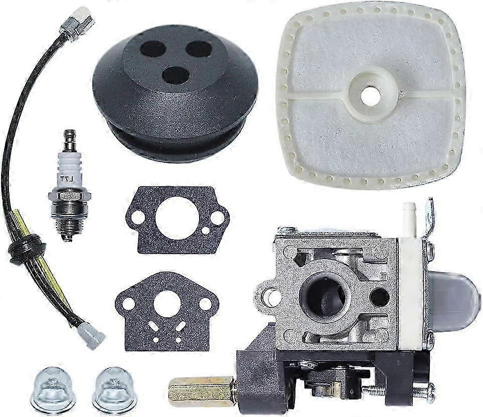 Echo Edger Carburettor Repair Kit