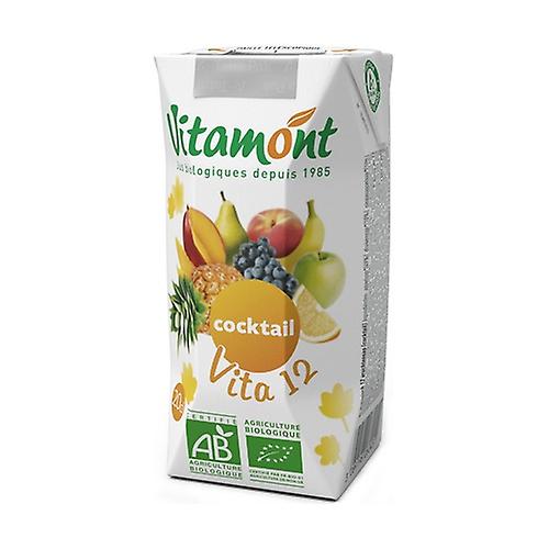 Vita juice 12 6 units of 0.2L (Fruits)