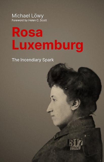 Rosa Luxemburg The Incendiary Spark by Michael Lwy Paperback Book