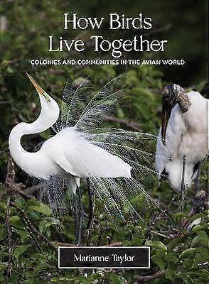 Comment les oiseaux vivent ensemble