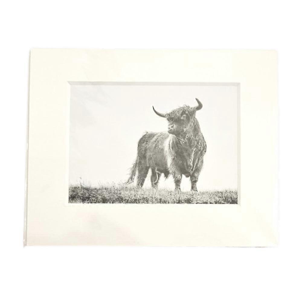 "Piper - King of Skye" Highland Cow Print 10" x 8" by Nick Field