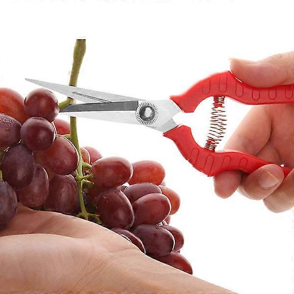 910 red handle fruit picking branch scissors grape