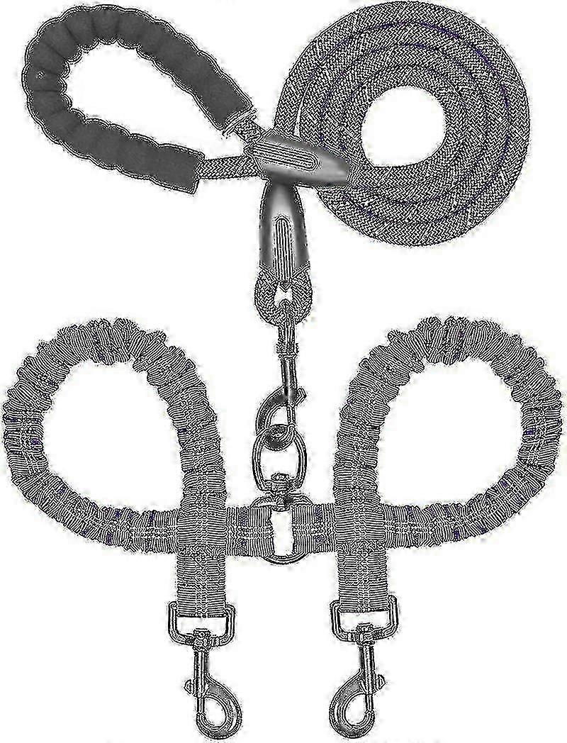 Double Dog Leash