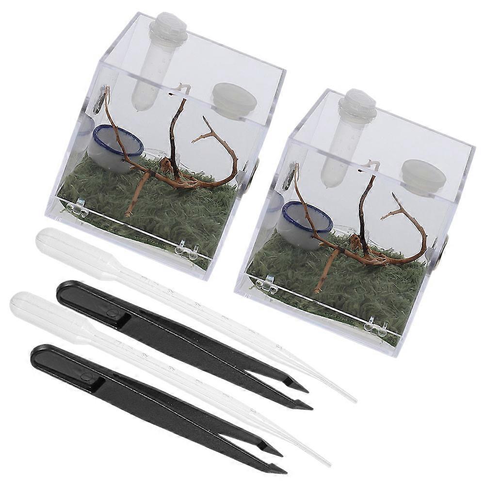 Jumping Spider Enclosure Box Acrylic Insects Feeding Case 10Sets