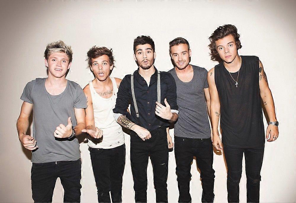 One Direction Jigsaw Puzzle Brain Teaser QT 1241