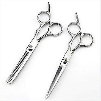 Professional Hairdressing and Barber Scissors Set, 6 Inch Stainless Steel Cutting and Thinning Kit