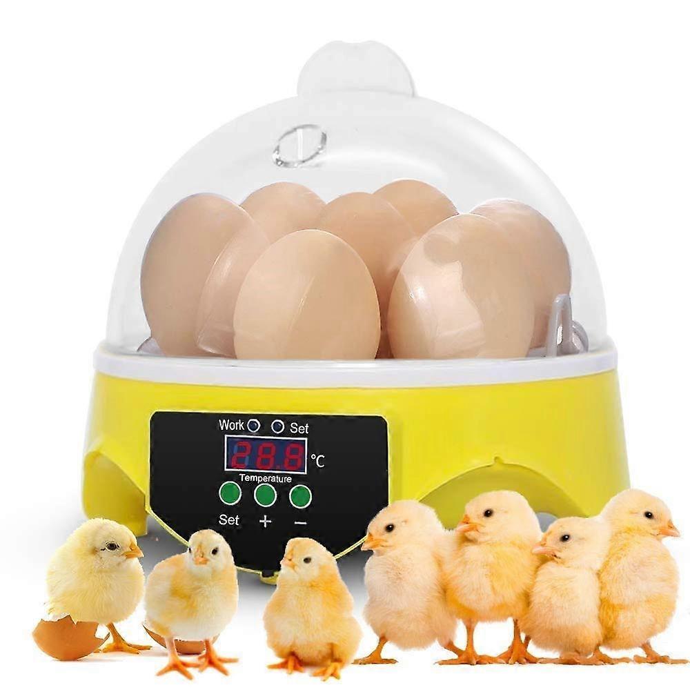 Mini Egg Incubator 7 Eggs LED Digital Control with Transparent Cover for Poultry Hatching