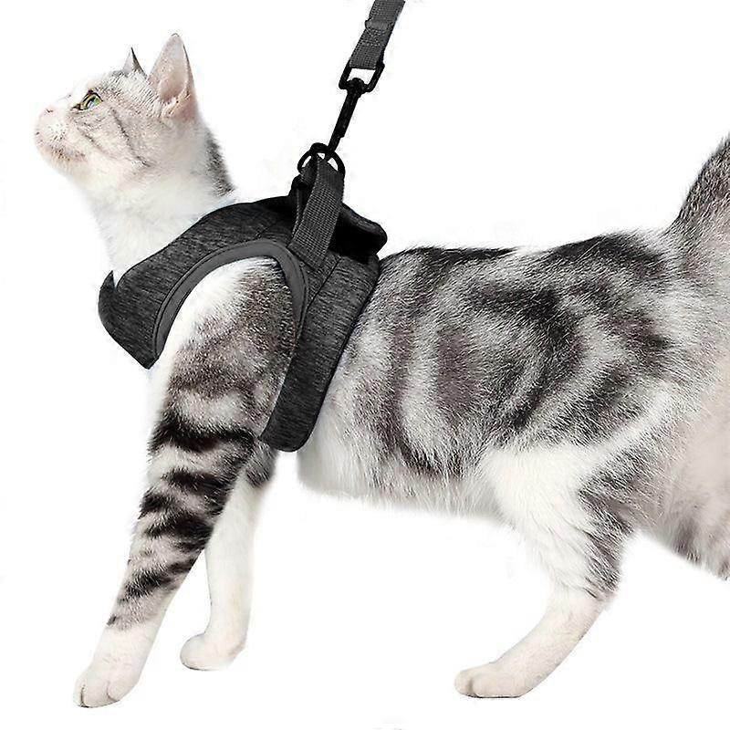 Flexible Adjustable Cat Harness Leash Combo
