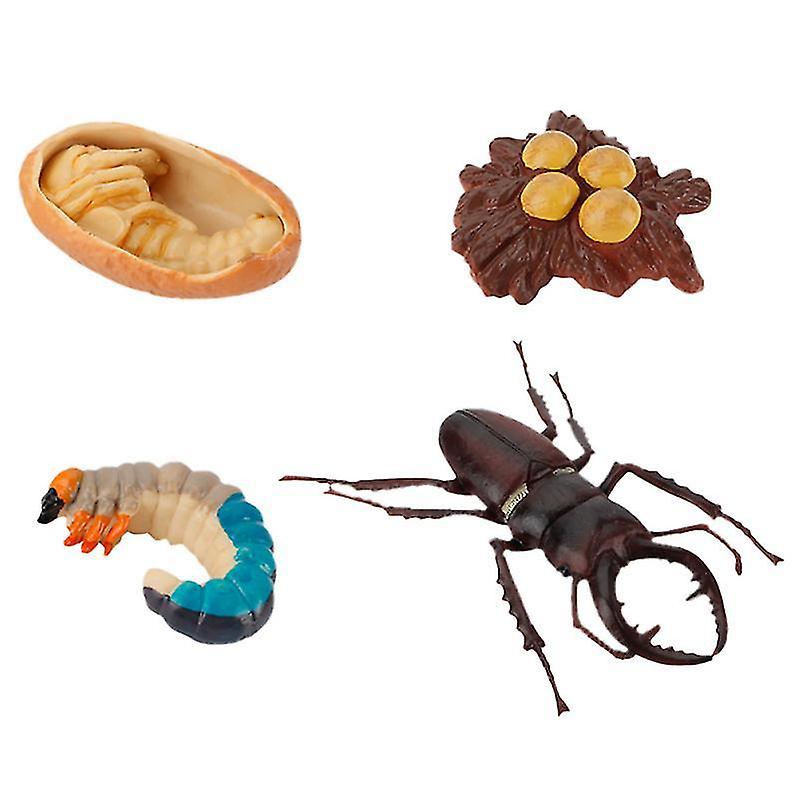 11X8cm Black Scale Model Kits 4pcs Simulation Insect Evolution Model Toy Model Party Decorations For