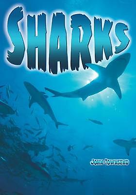 Sharks by John Townsend Paperback Book
