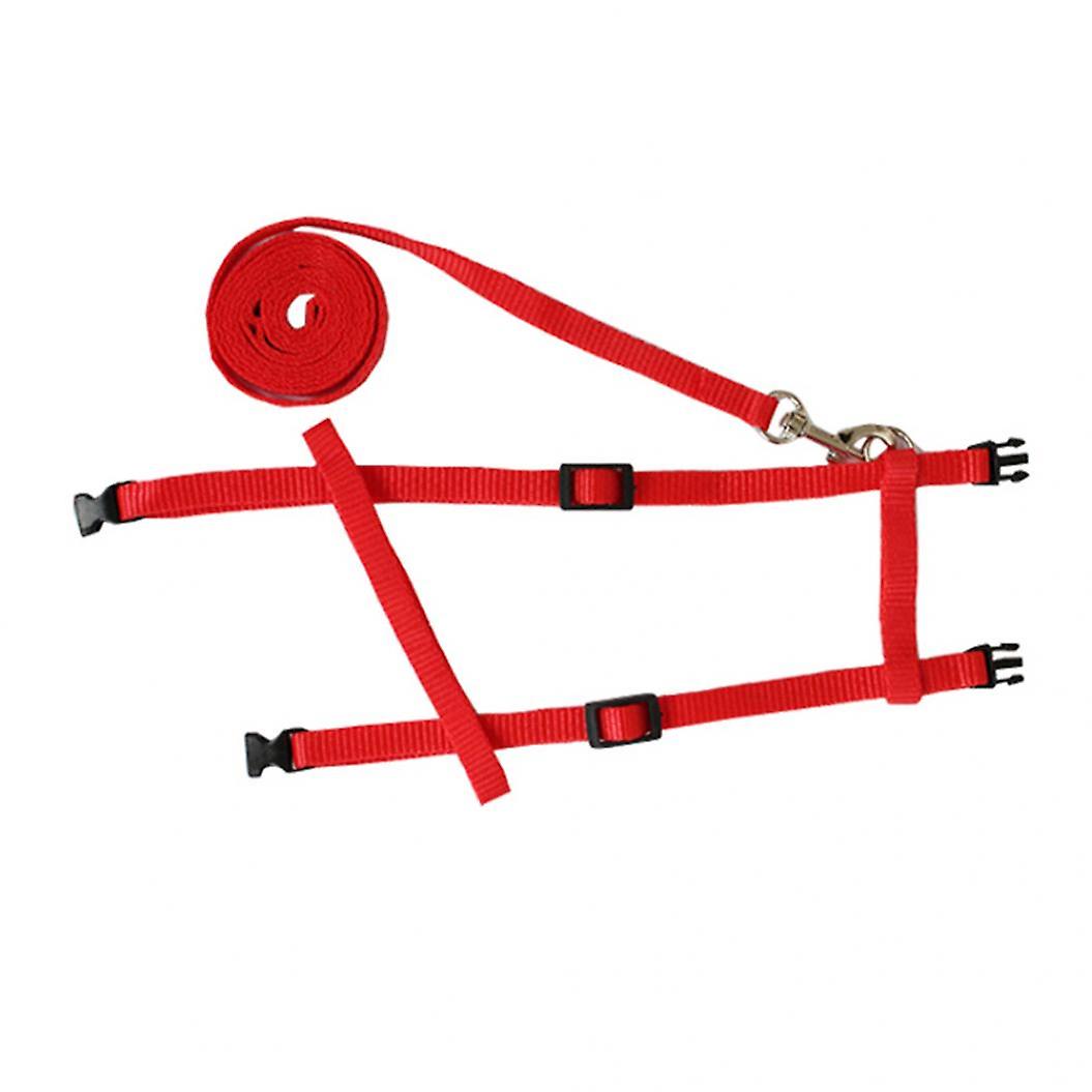 Adjustable Soft Polyester Small Pet Rabbit Harness Leash Guinea Pig Lead Rope