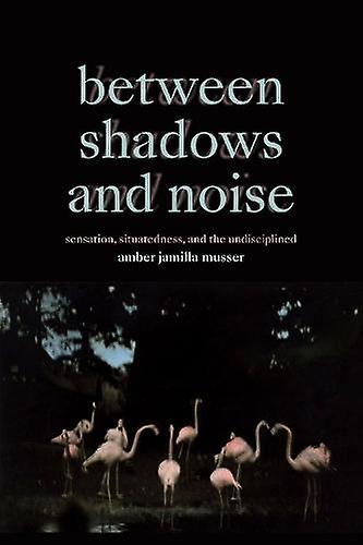 Tra ombre e rumore di Amber Jamilla Musser Copertina flessibile