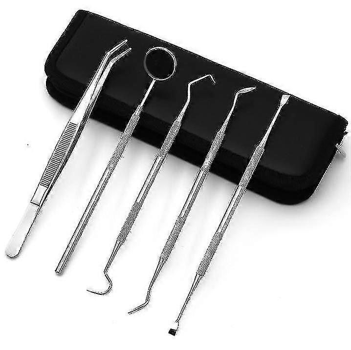 Stainless Steel Dentist Tools, Double-head Probe Dental Mirror Tooth Cleaning Kit