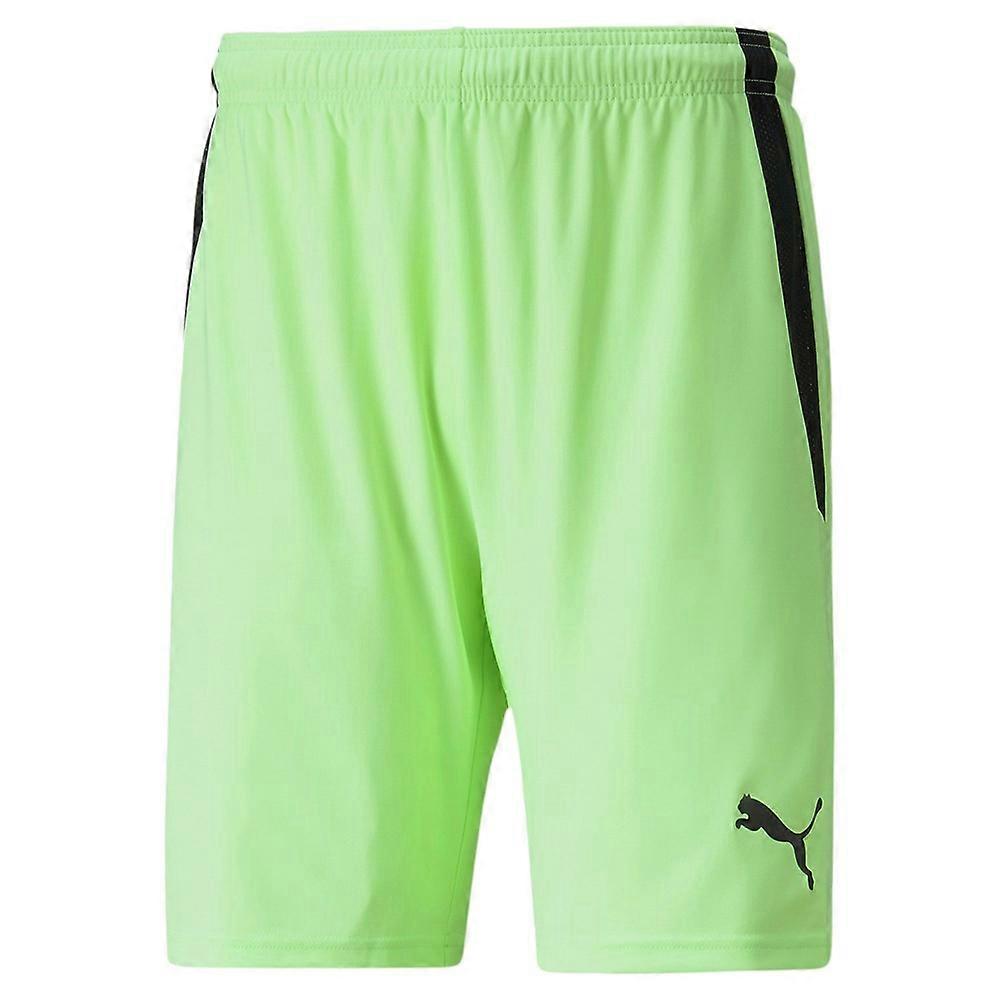 Trousers Puma Teamliga 70492420