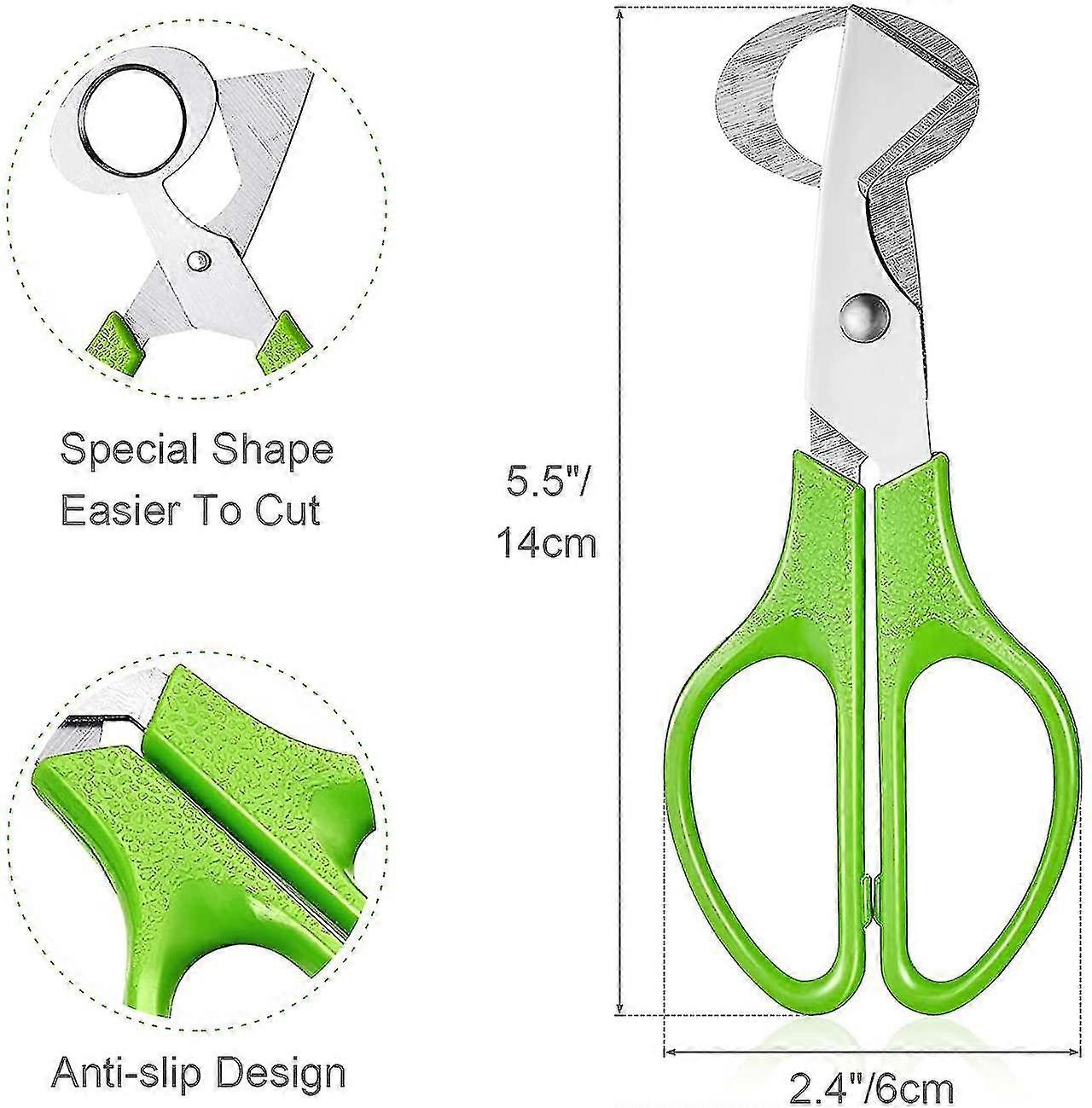 Quail Egg Scissors, Stainless Steel Quail Egg Scissors, Small Scissors-c