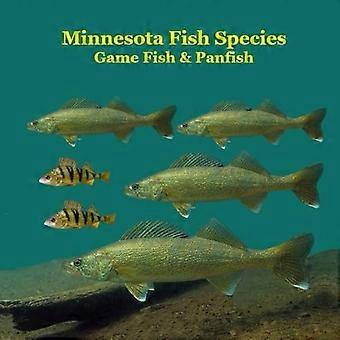 Libro per bambini Minnesota Game Fish e Panfish Species: ottimo libro sui diversi tipi di pesce in Minnesota