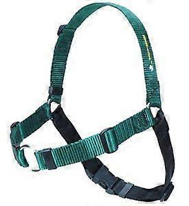 Senseation NoPull Dog Harness (Green, Large Wide)