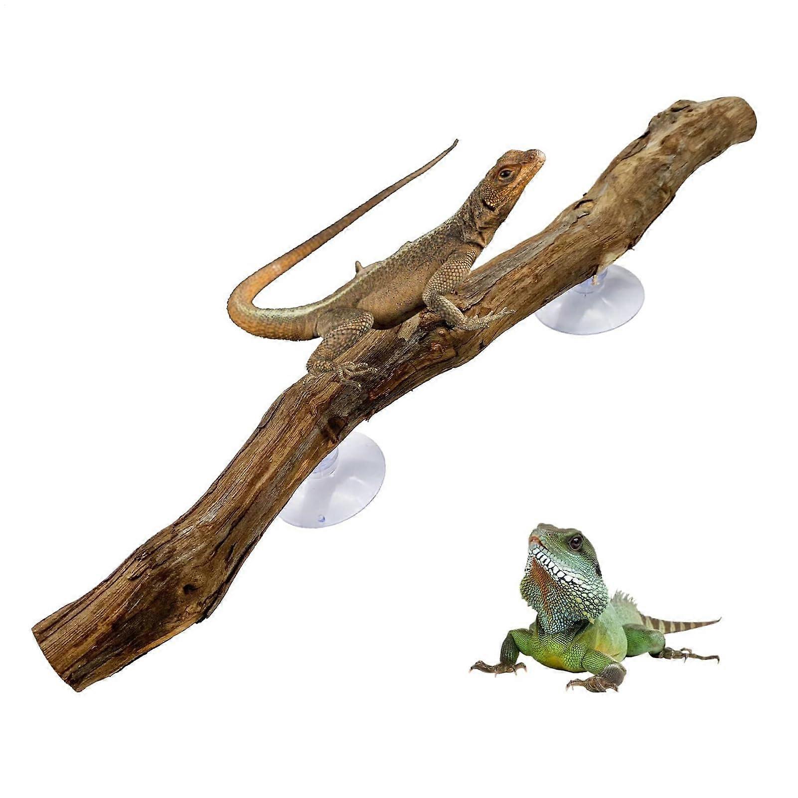 Snake Climbing Branch For Reptiles | Natural Wood, Non-Slip Habitat Decor For Bearded Dragons, Snakes, Geckos