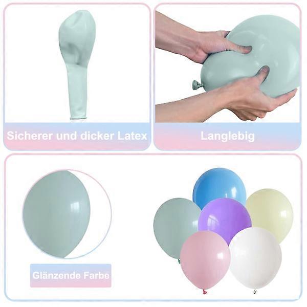 262 Macaron Daisy Balloons Set - 6 Colors 156 Macaron Balloons Three Sizes + 5 Daisy Balloons Two Sizes + 100 Balloon Dots Glue + One Balloon Chain