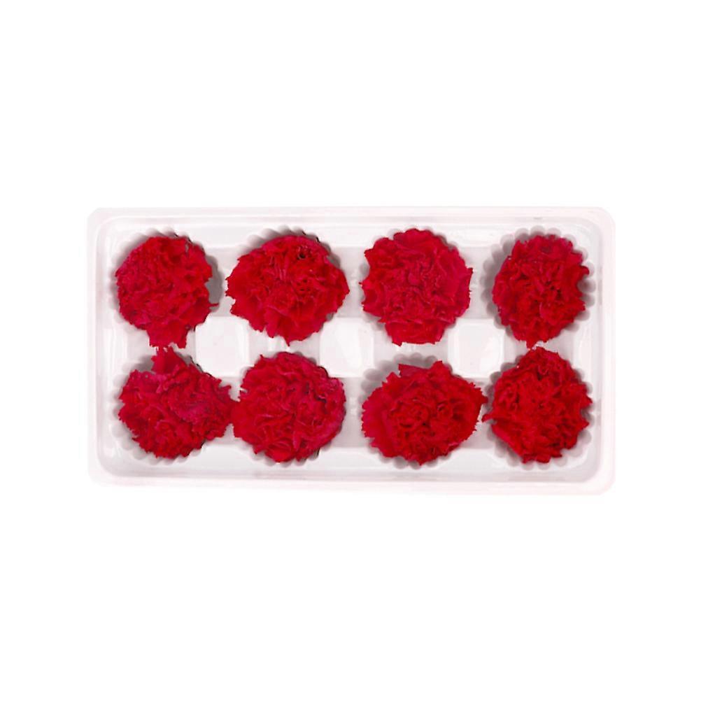 Eternal Carnation Flowers for Decoration Made of Synthetic Material Red Color 8pcs Set