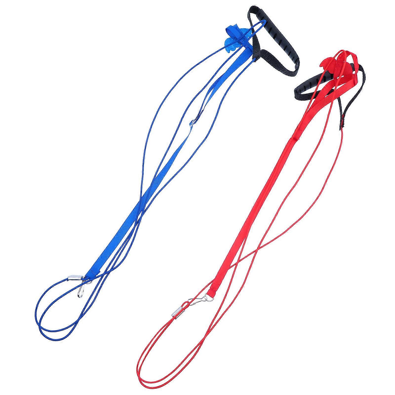 Bird Flying Training Harness 2Set Adjustable For Pet Parrots With Lightweight Assorted Color Design
