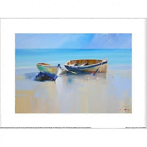 Craig Penny Afternoon Gulls Print