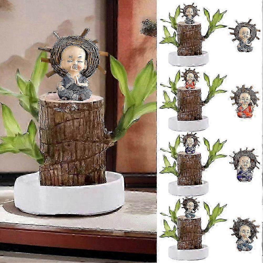 2025 Pianta verde d'acqua in legno brasiliano Raise Lucky Wood in vaso 4 stagioni