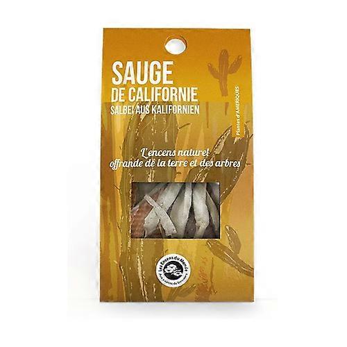 California sage 2 sticks