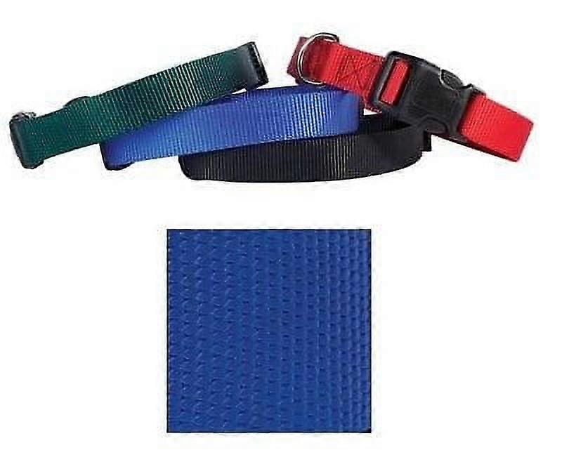 Coordinating Nylon Dog Collars Leads & Harnesses for Dogs Choose Sizes & Colors(6 to 10 x 3/8 Inch Collar - Blue)