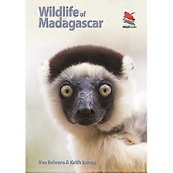 Dzikość z Madagaskaru (WILDGuides)